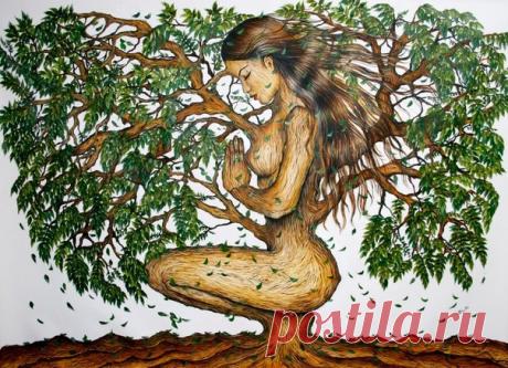 *Поможет дерево* *Поможет дерево* Многие целители и маги утверждают, что справиться с многими болезнями и проблемами можно… Обратившись за помощью к дереву! Только не к первому попавшемуся, естественно. К выбору листв…