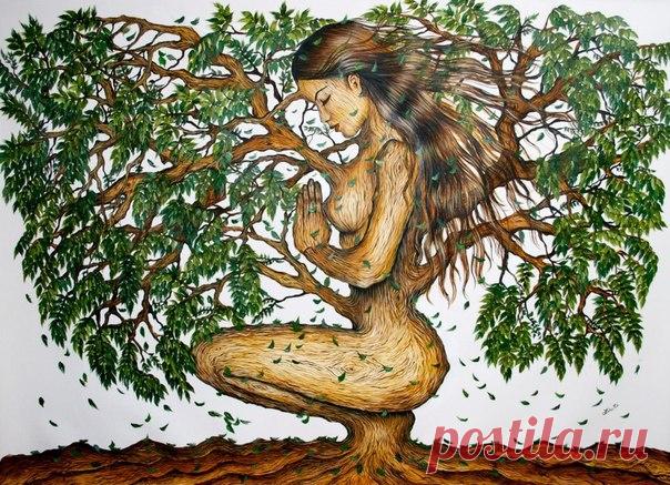 *Поможет дерево* *Поможет дерево* Многие целители и маги утверждают, что справиться с многими болезнями и проблемами можно… Обратившись за помощью к дереву! Только не к первому попавшемуся, естественно. К выбору листв…