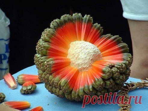 Одноклассники