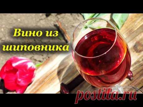 ▶ Вино из шиповника, процесс приготовления - YouTube
