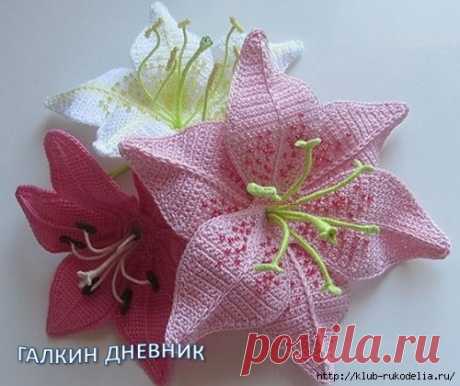 ВЕТКА ЛИЛИИ КРЮЧКОМ