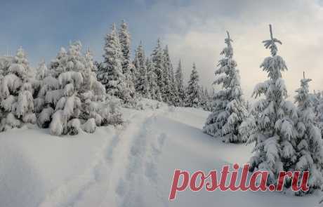 photo: Тропинка в сказку | photographer: Leonid Tit | WWW.PHOTODOM.COM