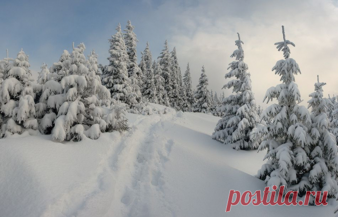 photo: Тропинка в сказку | photographer: Leonid Tit | WWW.PHOTODOM.COM
