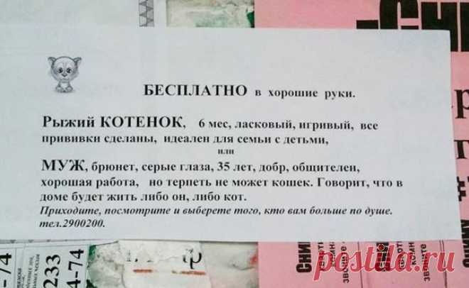 Добрые объявления и вывески со всего света. | Кому за пятьдесят