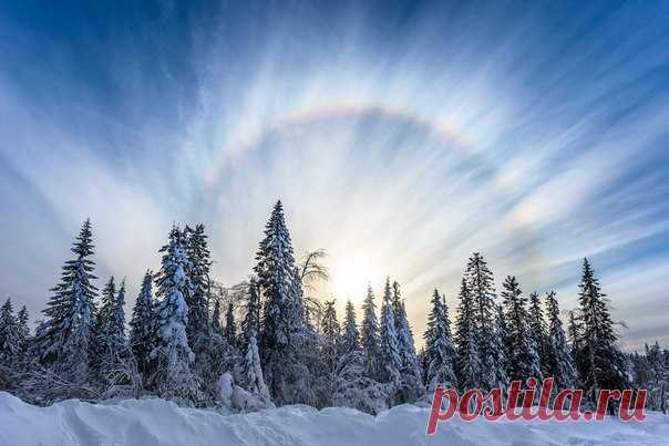 Солнечное гало. Автор фото — Михаил Туркеев: nat-geo.ru/photo/user/46662/