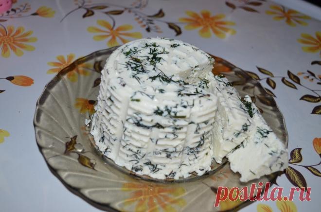 Домашний сыр - пошаговый рецепт с фото - как приготовить, ингредиенты, состав, время приготовления - Леди Mail.Ru