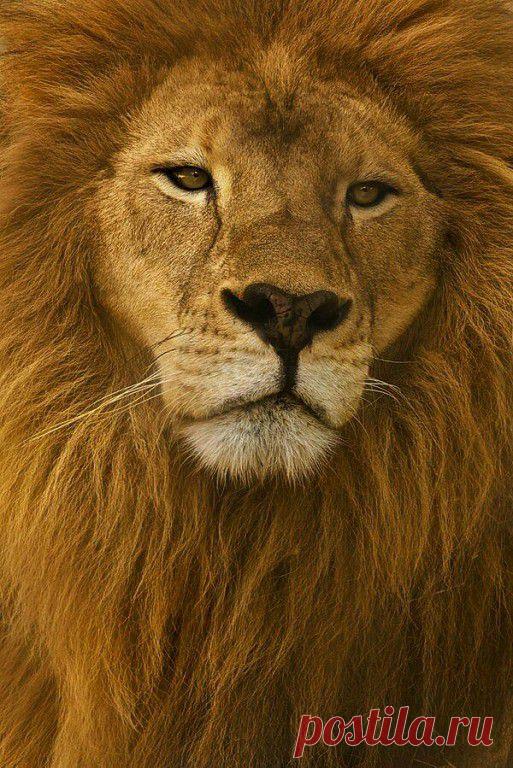 Вам и не снилось...
W G