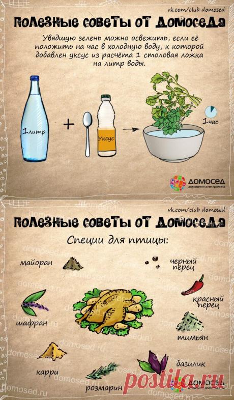 Полезные советы — Делимся советами