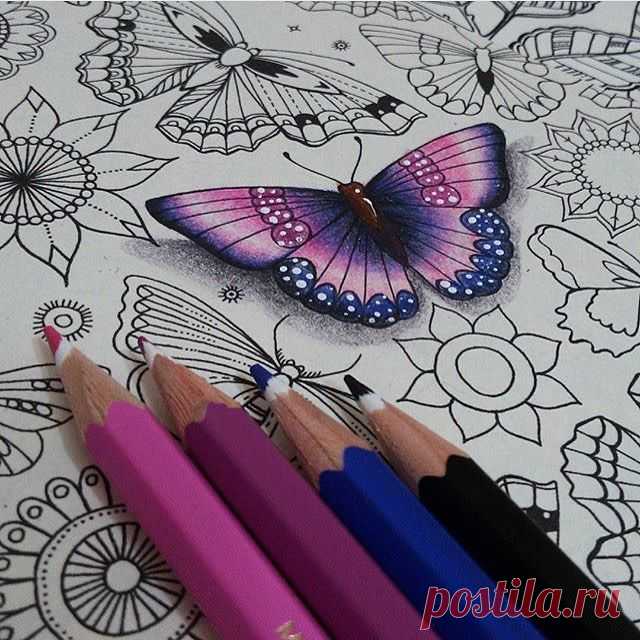 Shading to make a 3D butterfly @jardimsecretolove is very talented 😍 #art #adultcoloringbook #color #coloring #coloringbook #coloringbookforadults #prismacolor #colorist #calm #relaxing #chill #doodle #doodles #majesticcoloring