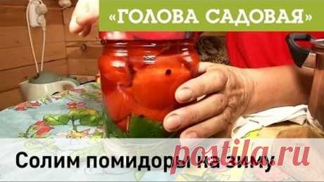 Солим помидоры на зиму