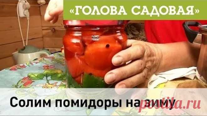 Солим помидоры на зиму
