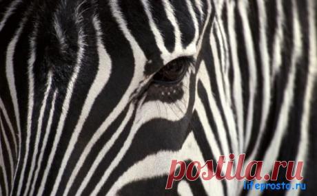 Черная полоса в жизни - что делать?