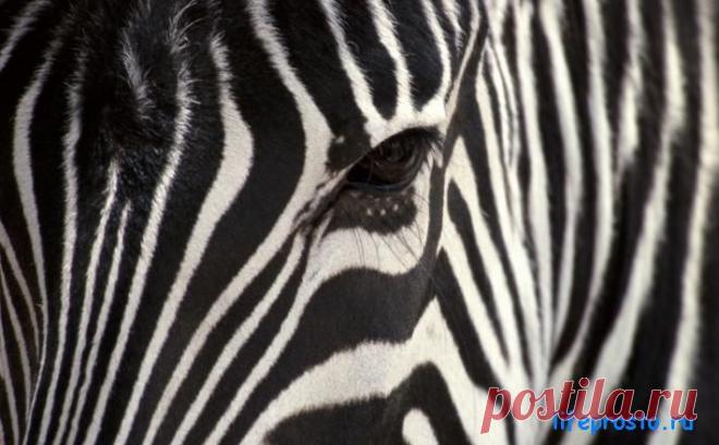 Черная полоса в жизни - что делать?