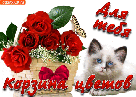 Уважаемые участники! Группа вновь открыта для ваших публикаций. Большая просьба, никакой политики, религии и рекламы. Такие посты будем удалять, поскольку это противоречит правилам сети Одноклассники.
Наш канал на YouTube - https://bit.do/eQL9j  
С уважением, администрация группы.