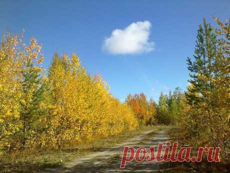 ФОТОМАСТЕРСКАЯ ПРИРОДЫ
Тамара Бабаева (Ишкова)