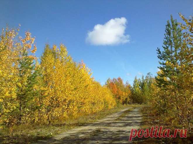 ФОТОМАСТЕРСКАЯ ПРИРОДЫ
Тамара Бабаева (Ишкова)