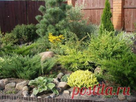 Тень да тень кругом: что посадить в темном уголке сада