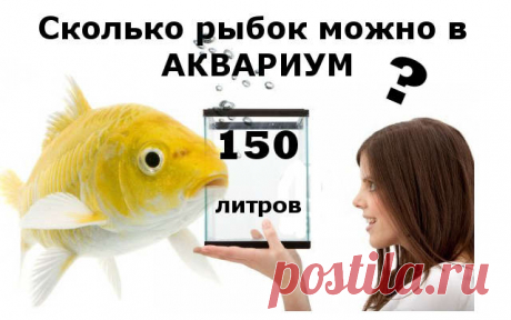 Сколько можно рыбок в аквариум 150 литров