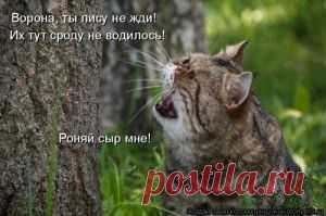 соперница...