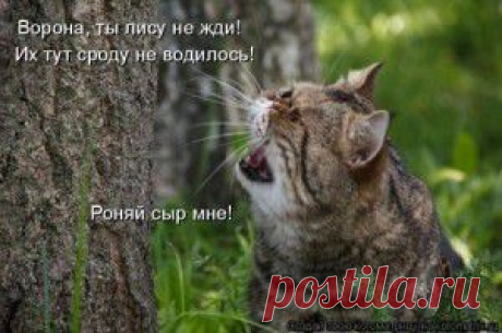 соперница...