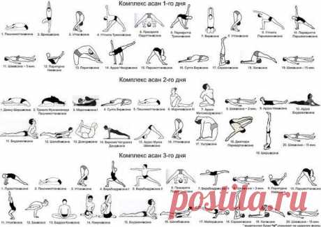 Йога | Yoga