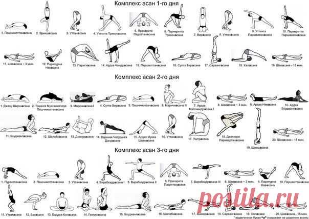 Йога | Yoga