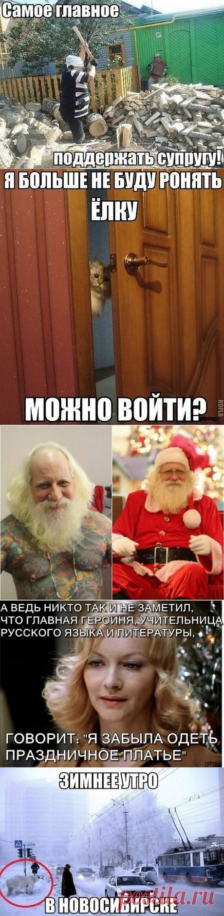 (+1) комм - Позитив и юмор в смешных фотографиях | Улетные картинки