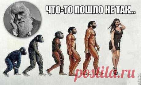 Без комментариев. ...