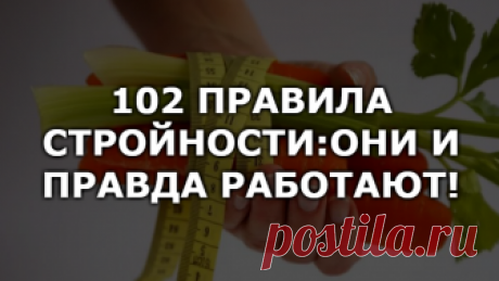 102 правила стройности