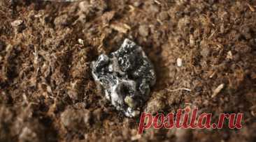 «Не укладываются в общую гидрогенную теорию»: геолог — о залежах редкозёмов на дне Тихого океана. Российские учёные из ДВГИ ДВО РАН и ГЕОХИ РАН обнаружили в пробах пород, поднятых со дна северной части Тихого океана, очень высокую концентрацию редкоземельных металлов. Это означает, что в этом районе в будущем может быть начата их добыча. В интервью RT автор исследования Павел Михайлик, ведущий научный сотрудник ДВГИ ДВО РАН, доктор геолого-минералогических наук, рассказал о перспективах…