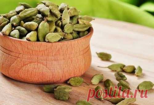 НАСЛЕДИЕ ДРЕВНЕЙ АЮРВЕДЫ: 6 ПОЛЕЗНЫХ ПРЯНОСТЕЙ