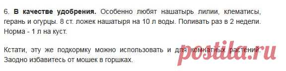 Дайте нашатырь! 6 удивительных свойств доступного и простого средства