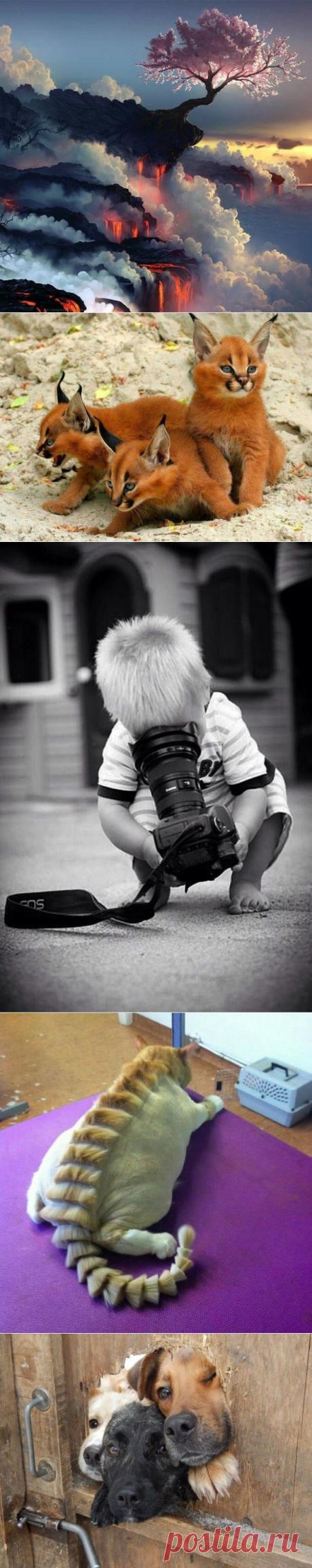 Кадры, которыми хочется поделиться | Современное искусство