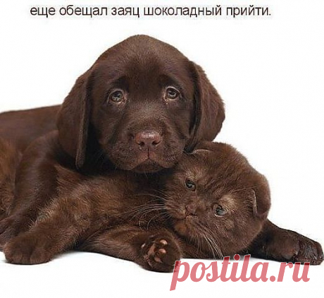 мы одной масти