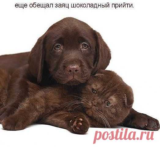 мы одной масти