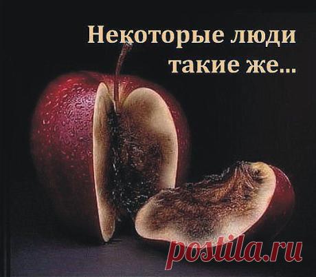МИХА ИЛ
43 года, Россия, Жуковский (Московская область)