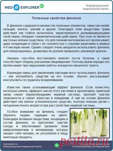 Полезные свойства фенхеля