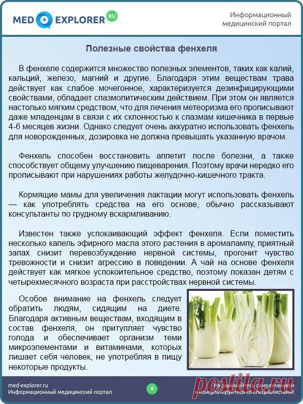 Полезные свойства фенхеля