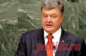 Непостоянный член. Размышления на грани фола (мнение)