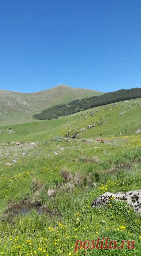 Գեղատեսիլ իմ ԱՊԱՐԱՆ🌼
Կանաչազարդ,ալվան ծաղկունք ապրող իմ հայրենի բնօրրան`Ապարան աշխարհի դրախտ հիշեցնող ևս մեկ անկյուն իմ ֆոտոշարքից:
