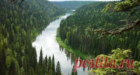 Фото дня: «Писающий мальчик» в жилете с британским флагом