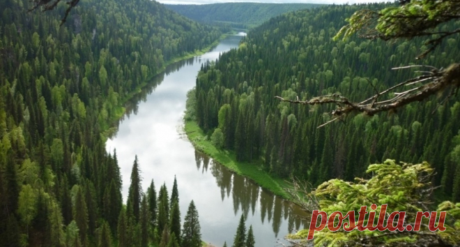 Фото дня: «Писающий мальчик» в жилете с британским флагом