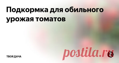 Подкормка для обильного урожая томатов Несколько лет назад я обратил внимание, что после внесения самодельных удобрений под помидоры, их урожайность существенно повысилась. Я стал ежегодно пользоваться этой подкормкой, и плодоносность растений всегда на высоте.
Для приготовления раствора возьмите емкость примерно на 3 л. Добавляете в нее 2 л воды. Учтите, она должна хорошо отстояться и быть теплой. В воды растворяете 100 грамм дрожжей,