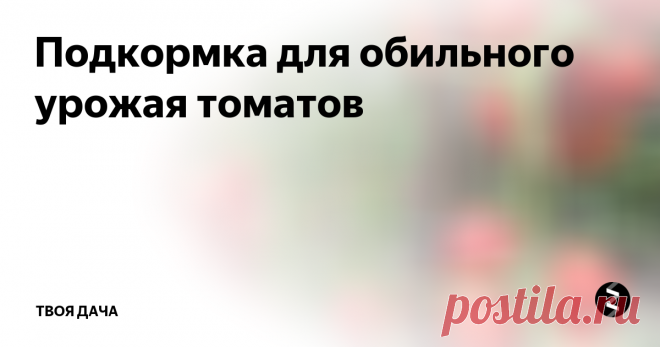 Подкормка для обильного урожая томатов Несколько лет назад я обратил внимание, что после внесения самодельных удобрений под помидоры, их урожайность существенно повысилась. Я стал ежегодно пользоваться этой подкормкой, и плодоносность растений всегда на высоте.
Для приготовления раствора возьмите емкость примерно на 3 л. Добавляете в нее 2 л воды. Учтите, она должна хорошо отстояться и быть теплой. В воды растворяете 100 грамм дрожжей,