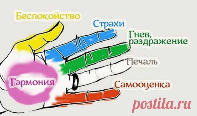 3345385403-1-1-750x440.jpg (750×440)