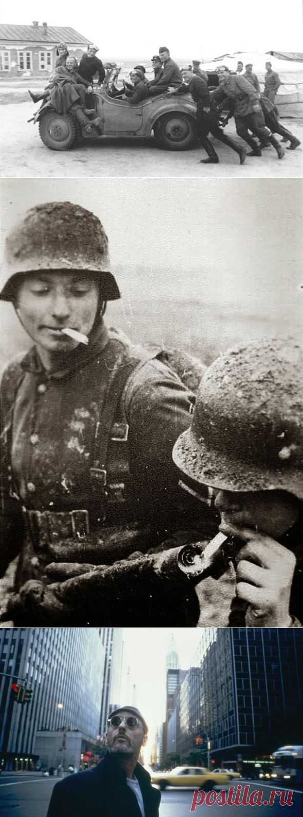 Военная история в фотографиях и книгах