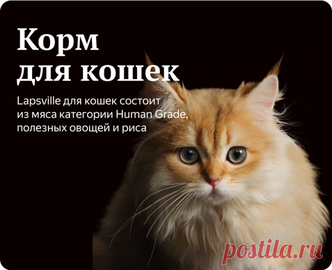 Lapsville — Каталог товаров бренда — Купить Lapsville на Яндекс Маркете