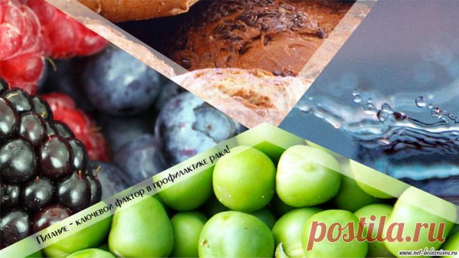 Профилактика рака: Как избежать возникновения онкологических болезней? 

Неправильное питание богатое жирами и с низким содержанием клетчатки отрицательно сказывается на здоровье, повышая риск рака кишечника, прямой кишки и желудка. Была замечена связь и между питанием и возникновением рака молочной железы, матки и предстательной железы.