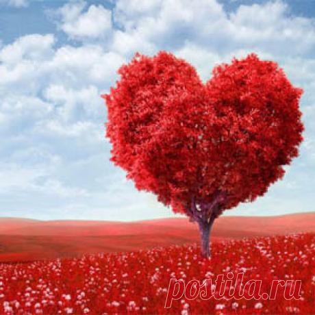 Жизненный Пример разных Реальностей Родные мои, я чувствую, что многие из вас пока не понимают, как может в одном мире существовать одновременно множество реальностей (послание Архангела Уриила "Множество Реальностей"), причем для каждого уникальная, своя, — в соответствии с его вибрационным уровнем, с его внутренним миром, с его личными энергиями. Бог создал для нас великое творение — наш мир. Это многомерная и многогранная реальность, которая как бы состоит из множества ...