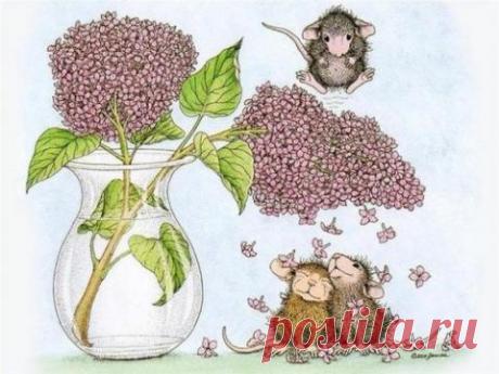 Поворот Меркурия в прямое движение 22 мая 2016 года | PoZnaku.ru - все о знаках зодиака и гороскопах